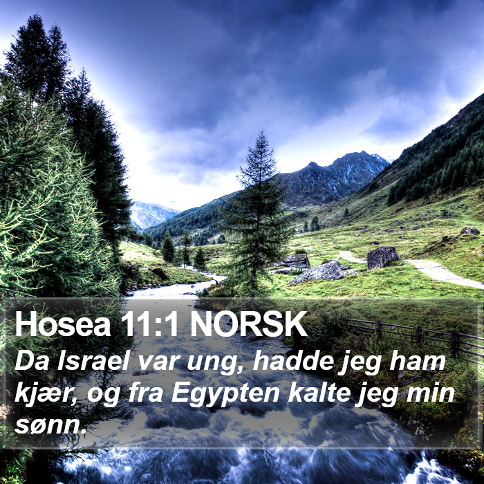 Hosea 11:1 NORSK Bible Study