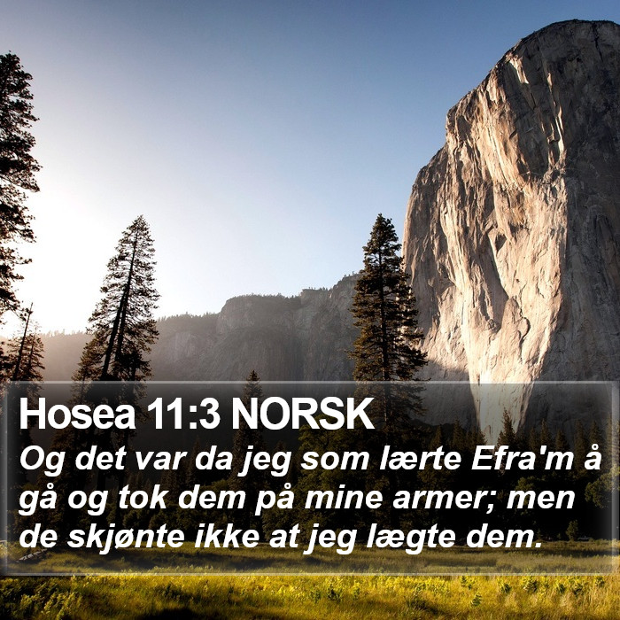 Hosea 11:3 NORSK Bible Study