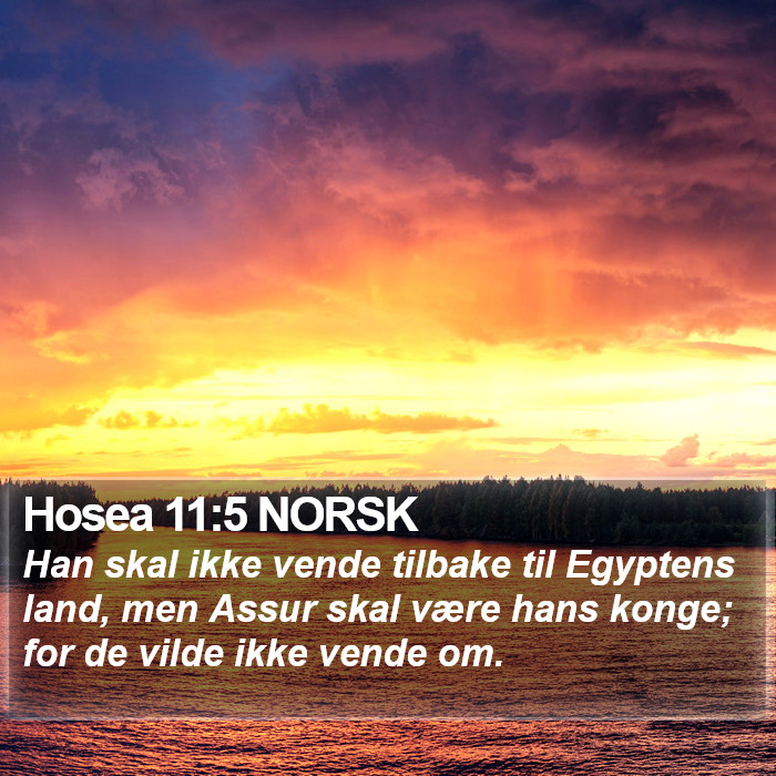 Hosea 11:5 NORSK Bible Study