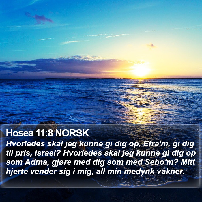 Hosea 11:8 NORSK Bible Study