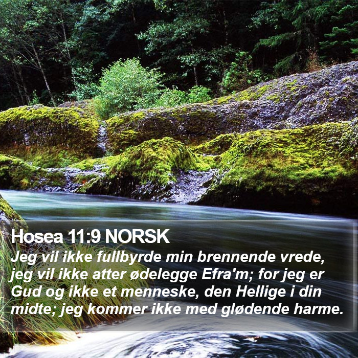 Hosea 11:9 NORSK Bible Study