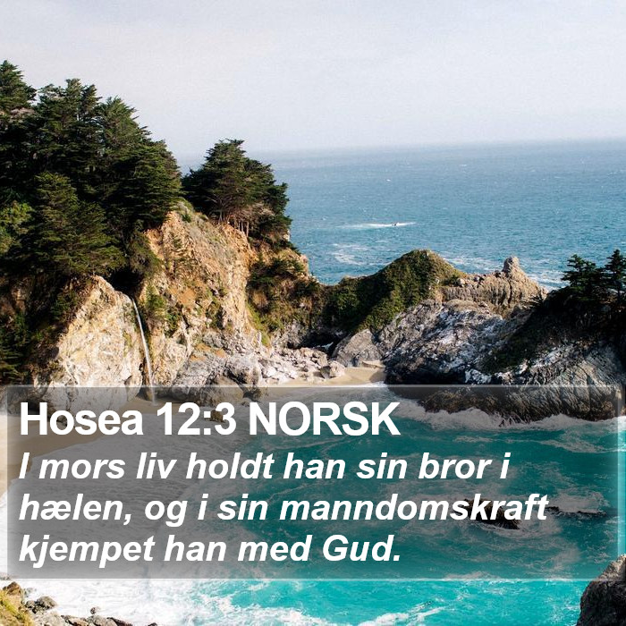 Hosea 12:3 NORSK Bible Study