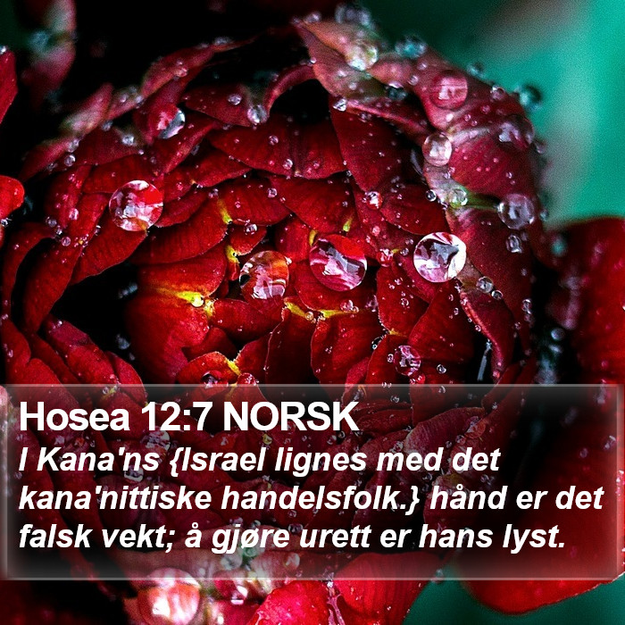 Hosea 12:7 NORSK Bible Study