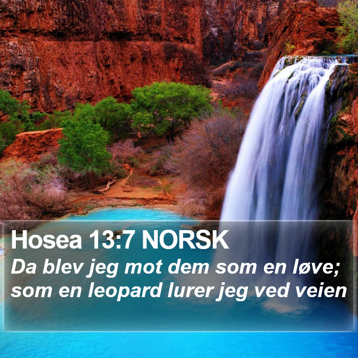 Hosea 13:7 NORSK Bible Study