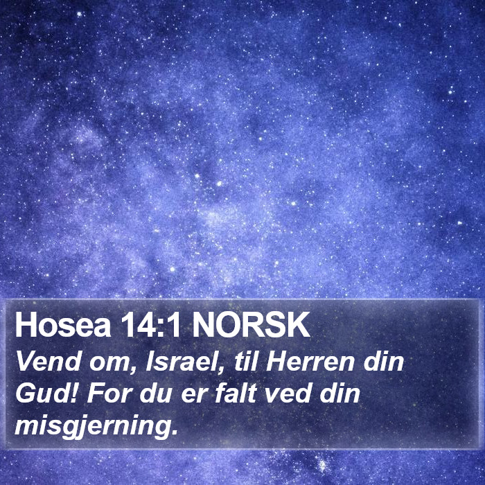 Hosea 14:1 NORSK Bible Study