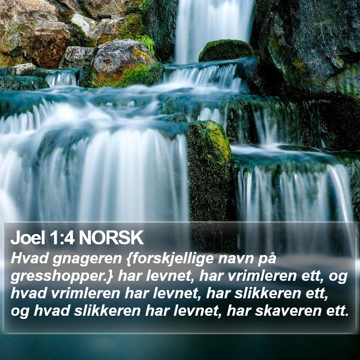 Joel 1:4 NORSK Bible Study