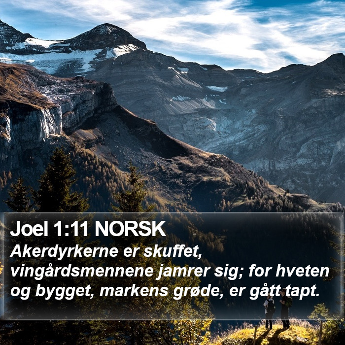 Joel 1:11 NORSK Bible Study