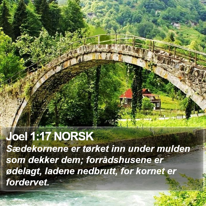 Joel 1:17 NORSK Bible Study