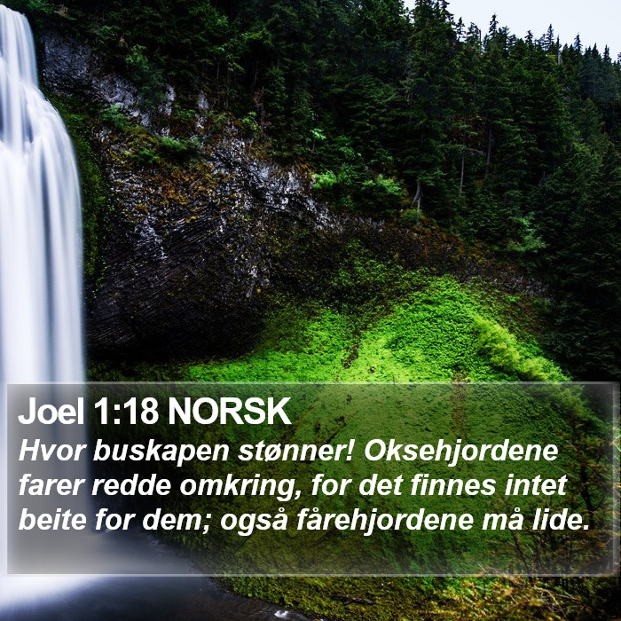 Joel 1:18 NORSK Bible Study