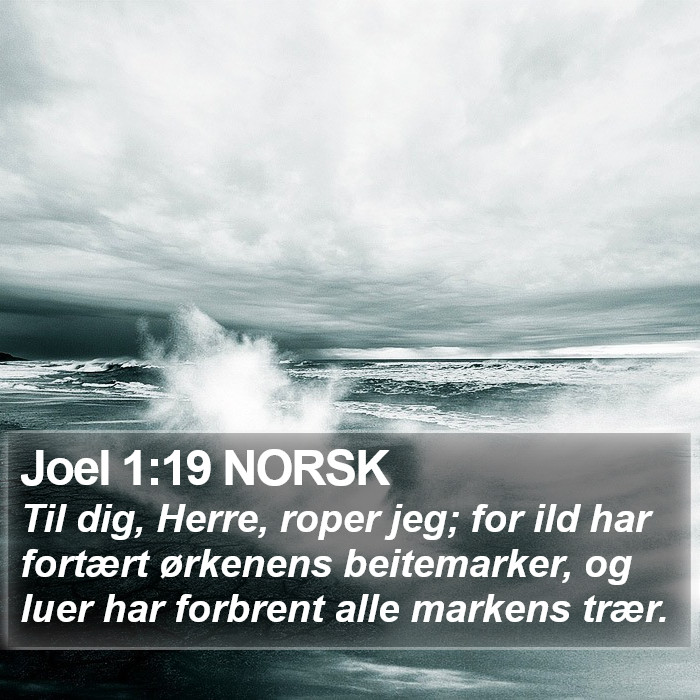 Joel 1:19 NORSK Bible Study