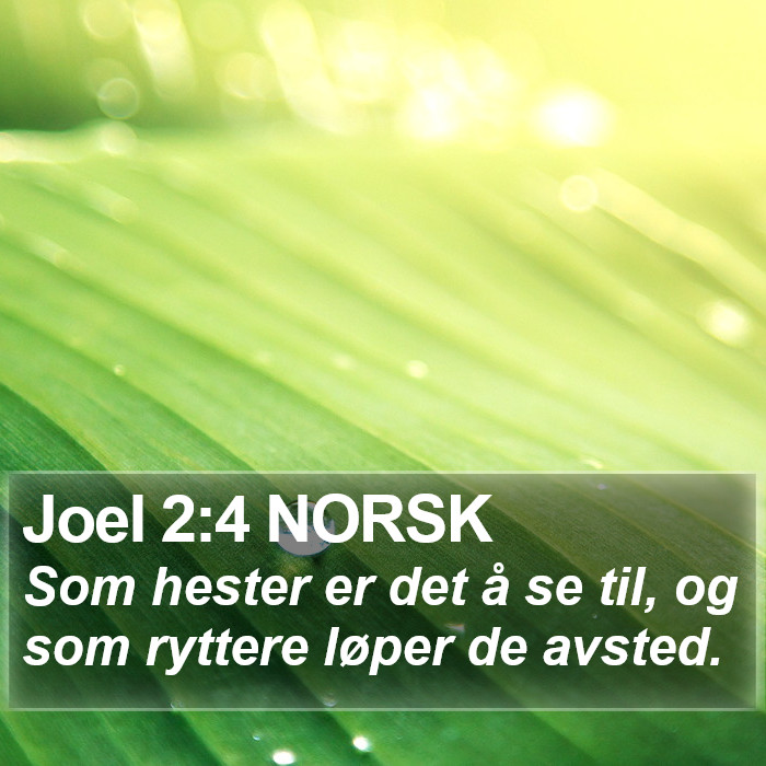 Joel 2:4 NORSK Bible Study