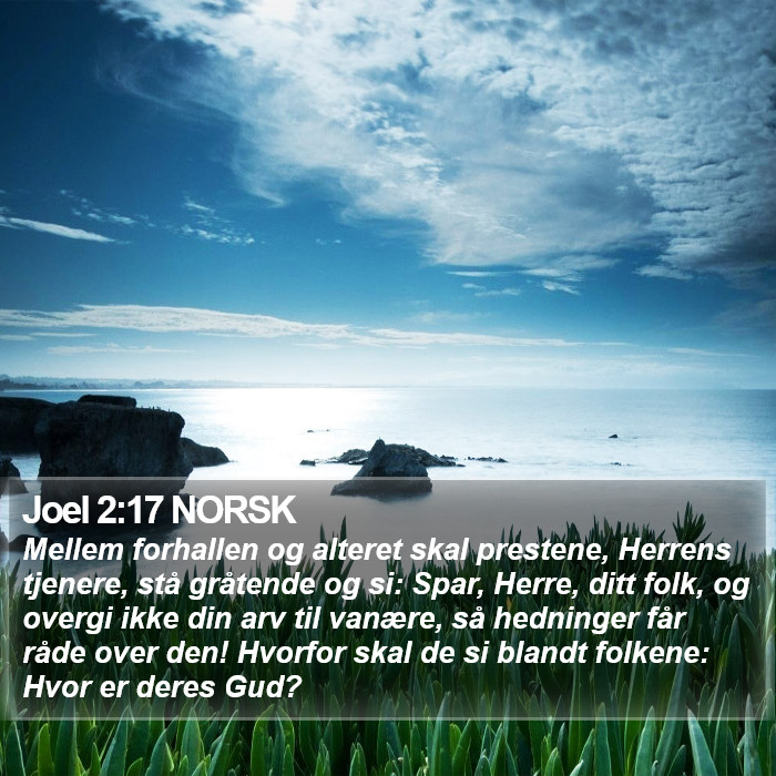Joel 2:17 NORSK Bible Study