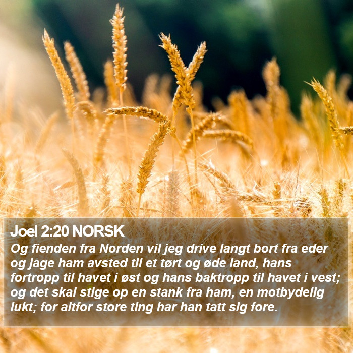 Joel 2:20 NORSK Bible Study