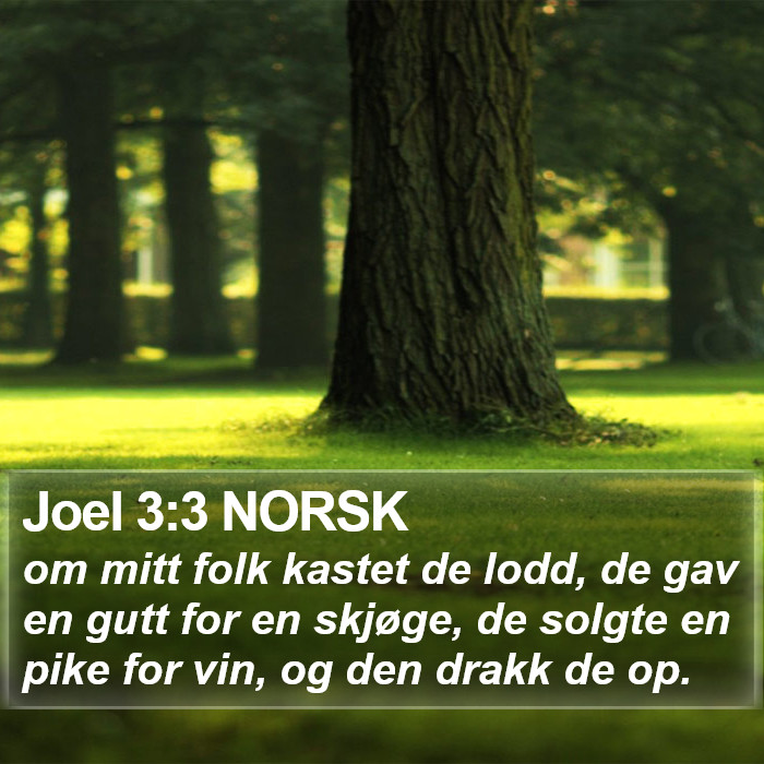 Joel 3:3 NORSK Bible Study