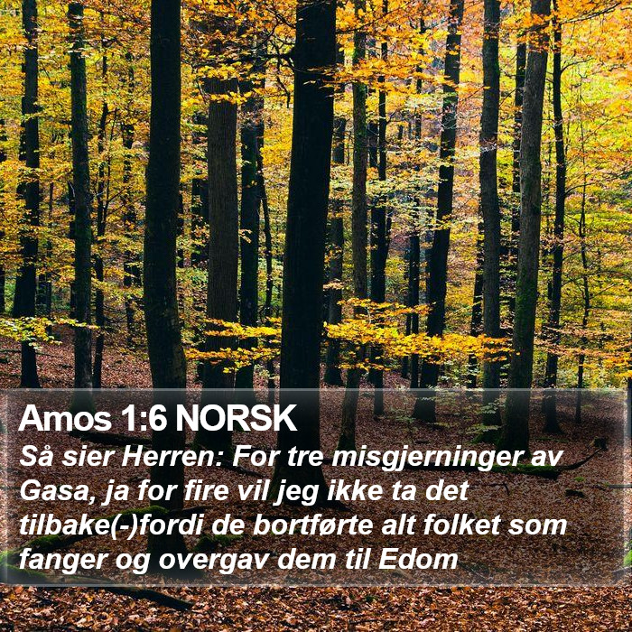 Amos 1:6 NORSK Bible Study