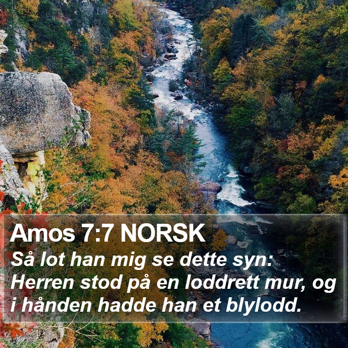 Amos 7:7 NORSK Bible Study