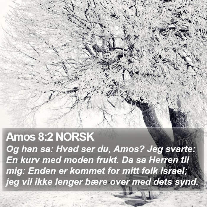 Amos 8:2 NORSK Bible Study