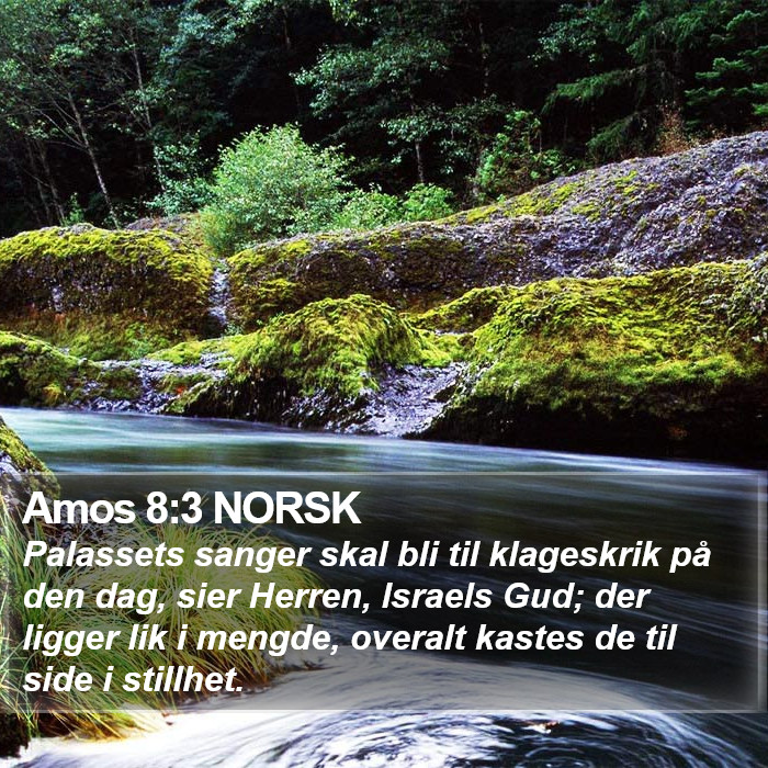 Amos 8:3 NORSK Bible Study