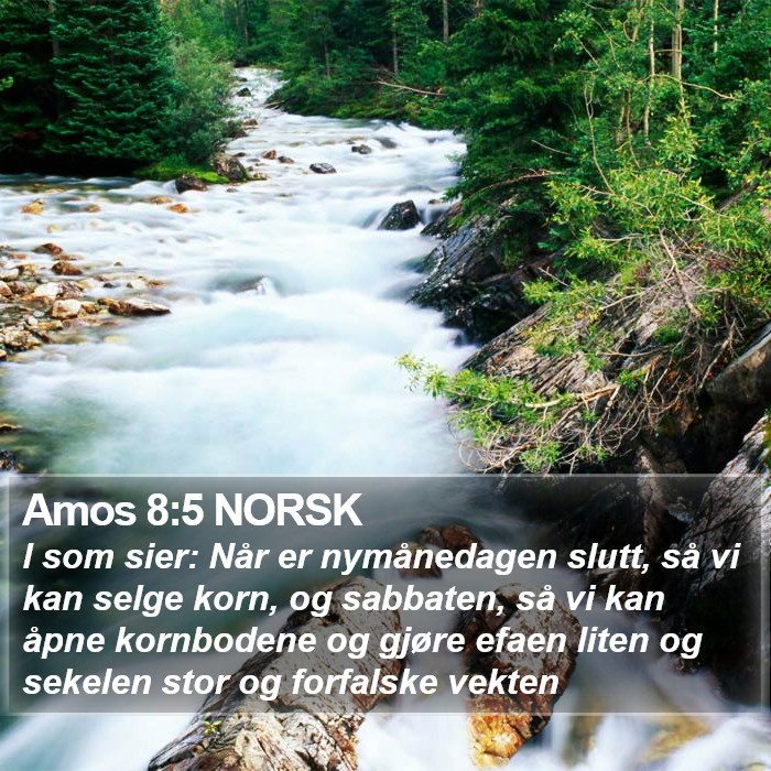 Amos 8:5 NORSK Bible Study