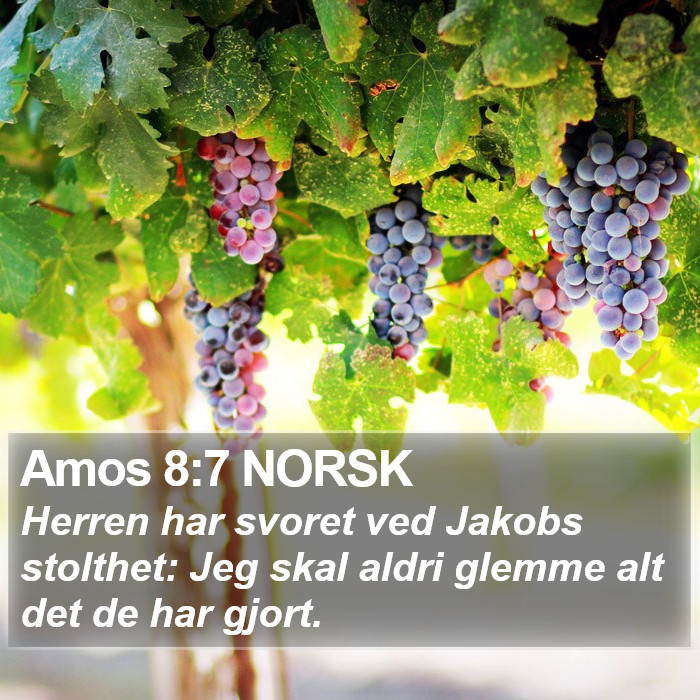 Amos 8:7 NORSK Bible Study