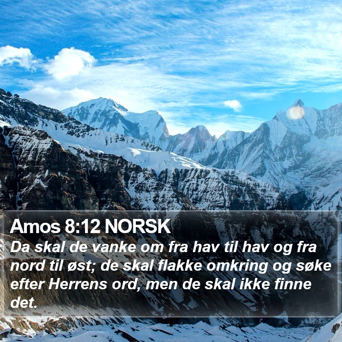 Amos 8:12 NORSK Bible Study