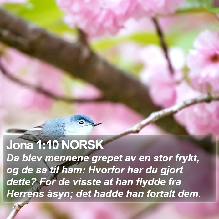 Jona 1:10 NORSK Bible Study