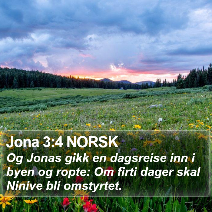 Jona 3:4 NORSK Bible Study