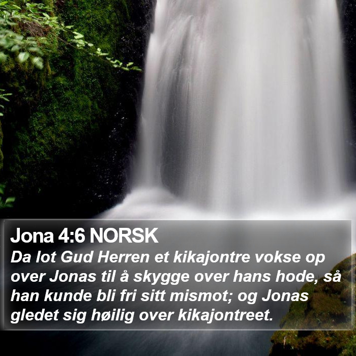 Jona 4:6 NORSK Bible Study