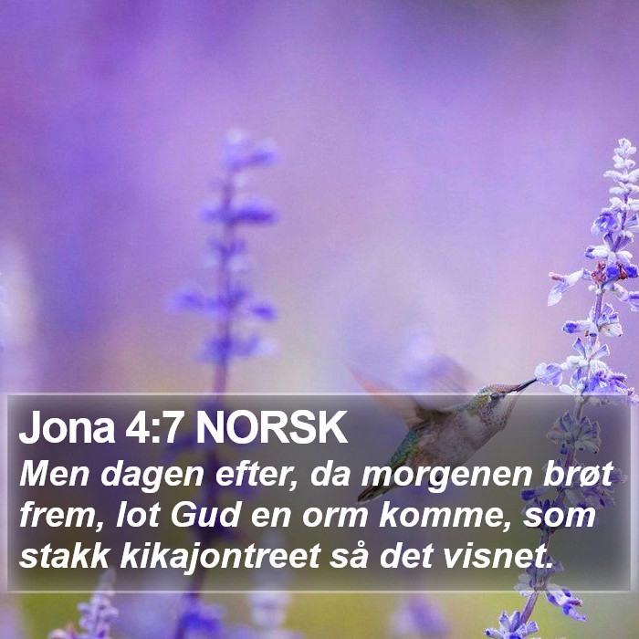 Jona 4:7 NORSK Bible Study