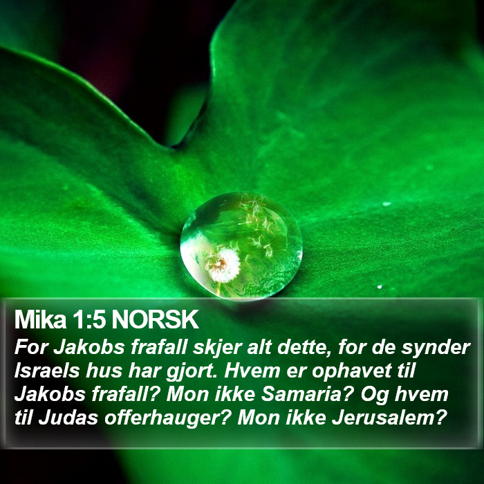 Mika 1:5 NORSK Bible Study