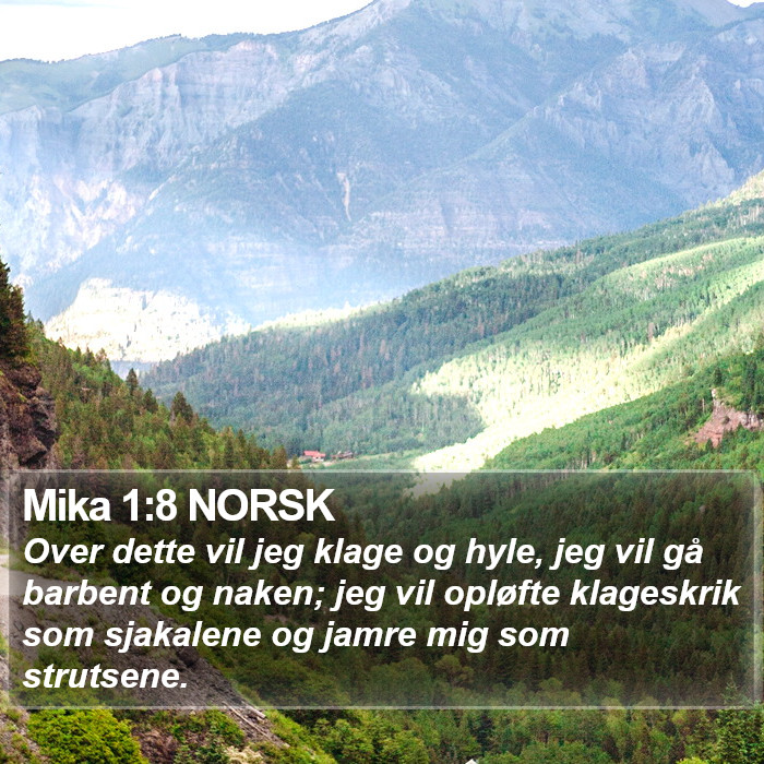 Mika 1:8 NORSK Bible Study