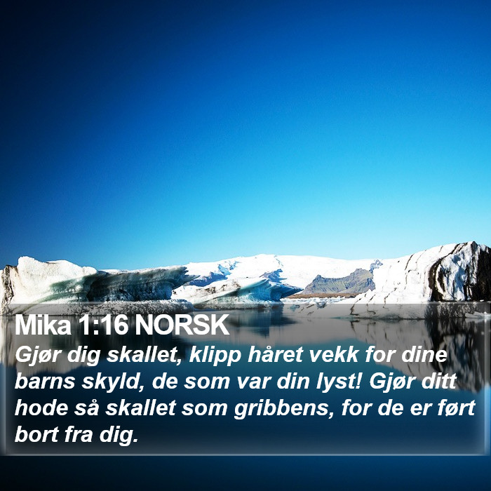 Mika 1:16 NORSK Bible Study