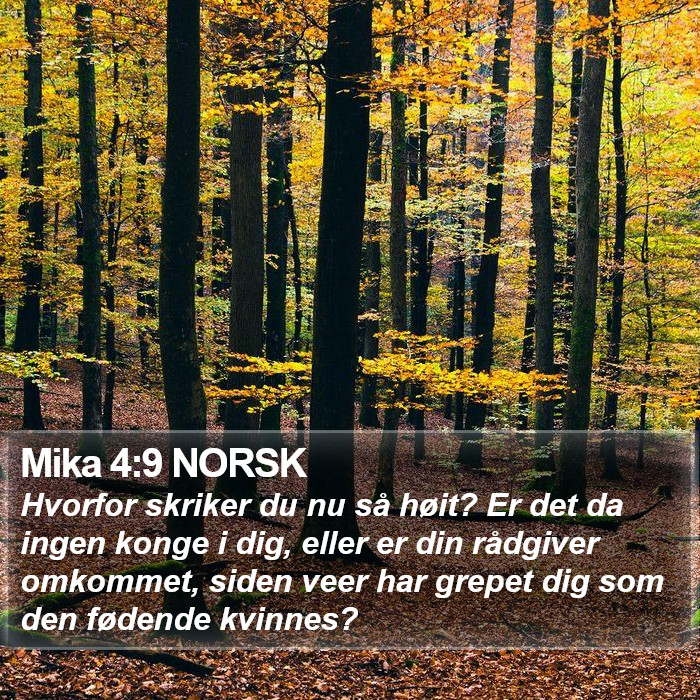 Mika 4:9 NORSK Bible Study