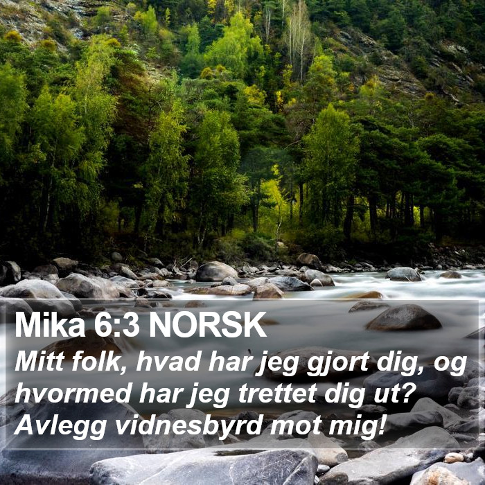 Mika 6:3 NORSK Bible Study