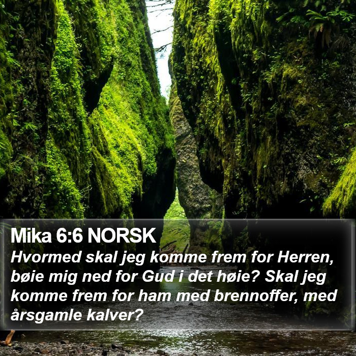 Mika 6:6 NORSK Bible Study