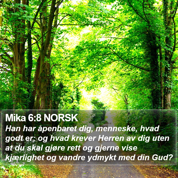 Mika 6:8 NORSK Bible Study