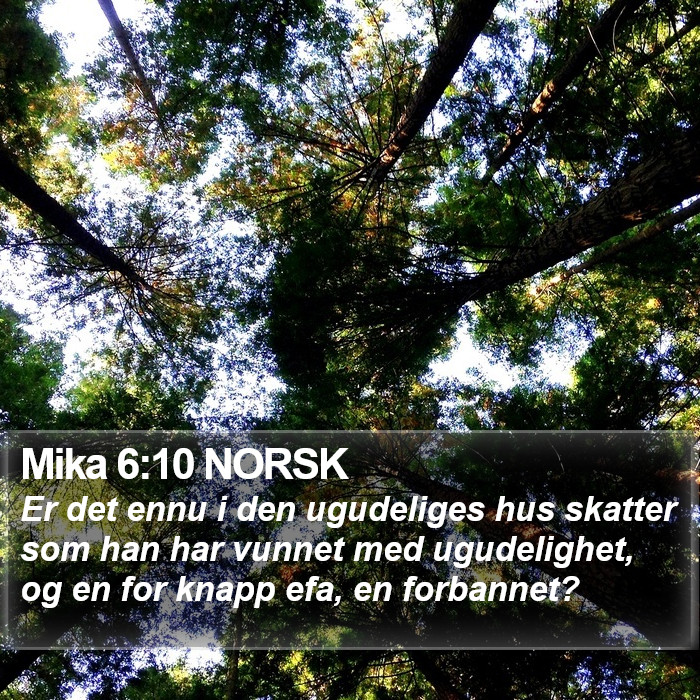 Mika 6:10 NORSK Bible Study