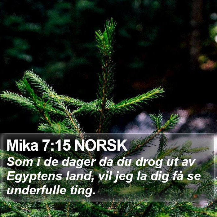 Mika 7:15 NORSK Bible Study