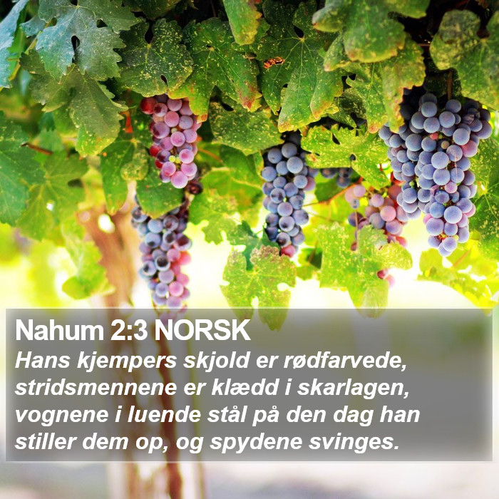 Nahum 2:3 NORSK Bible Study