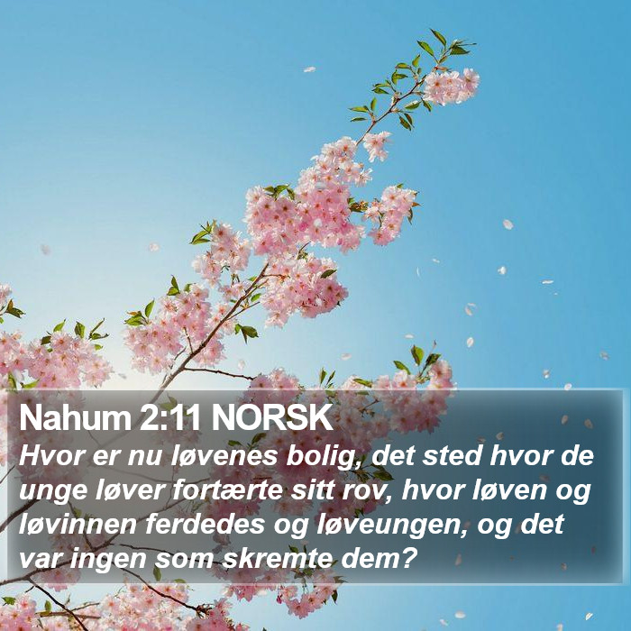 Nahum 2:11 NORSK Bible Study