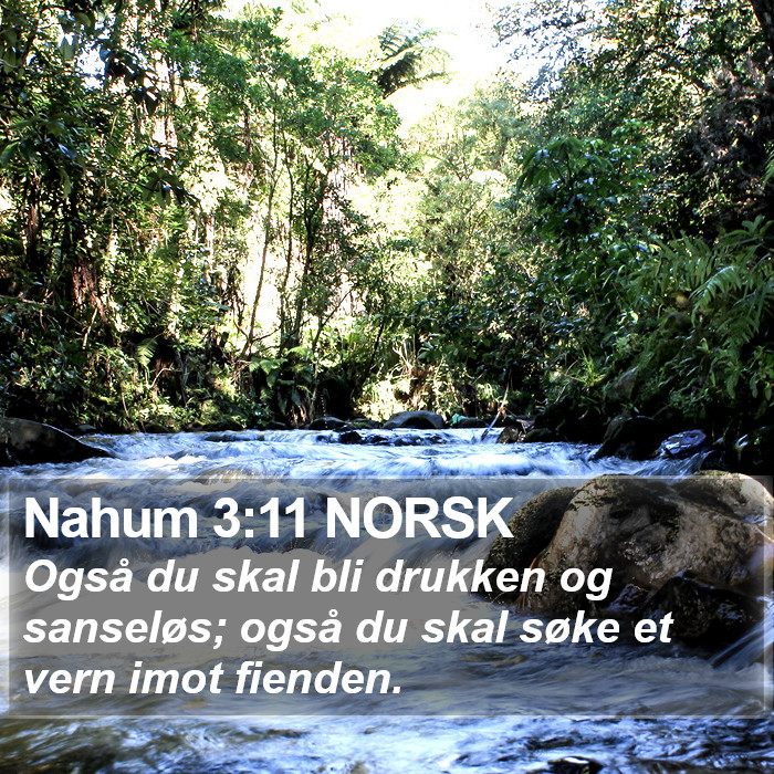 Nahum 3:11 NORSK Bible Study