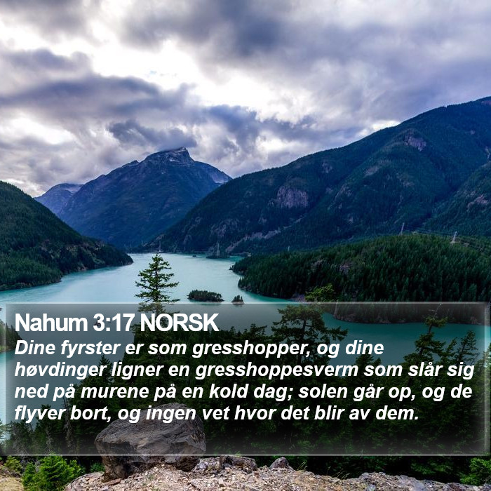 Nahum 3:17 NORSK Bible Study