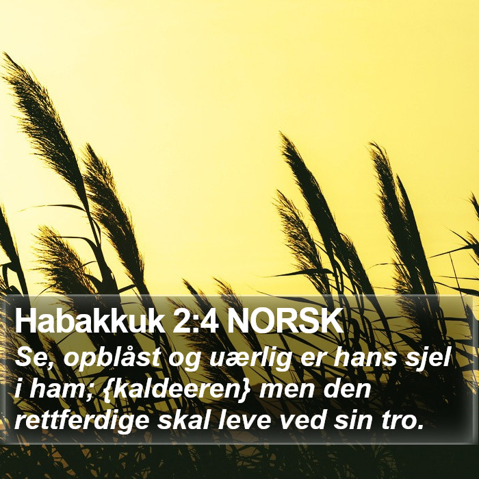 Habakkuk 2:4 NORSK Bible Study