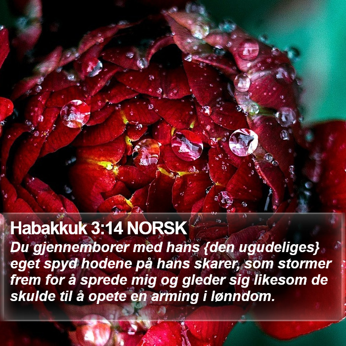 Habakkuk 3:14 NORSK Bible Study