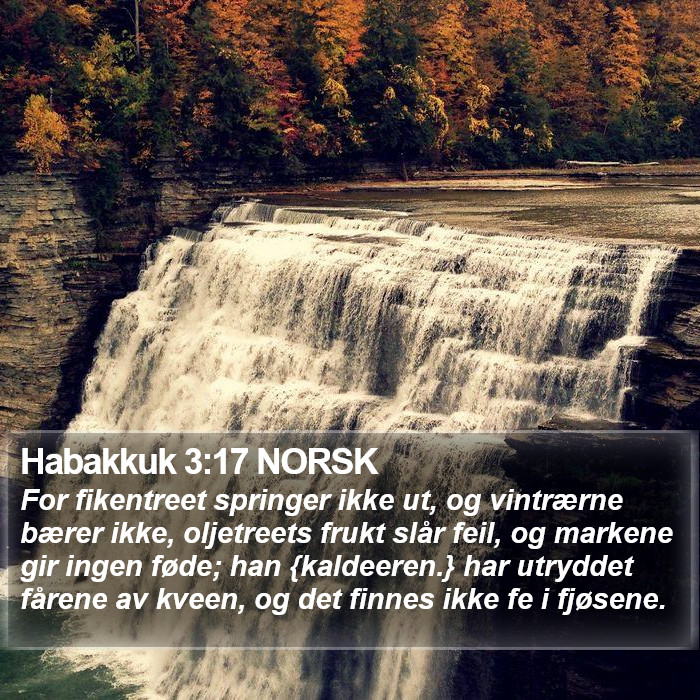 Habakkuk 3:17 NORSK Bible Study