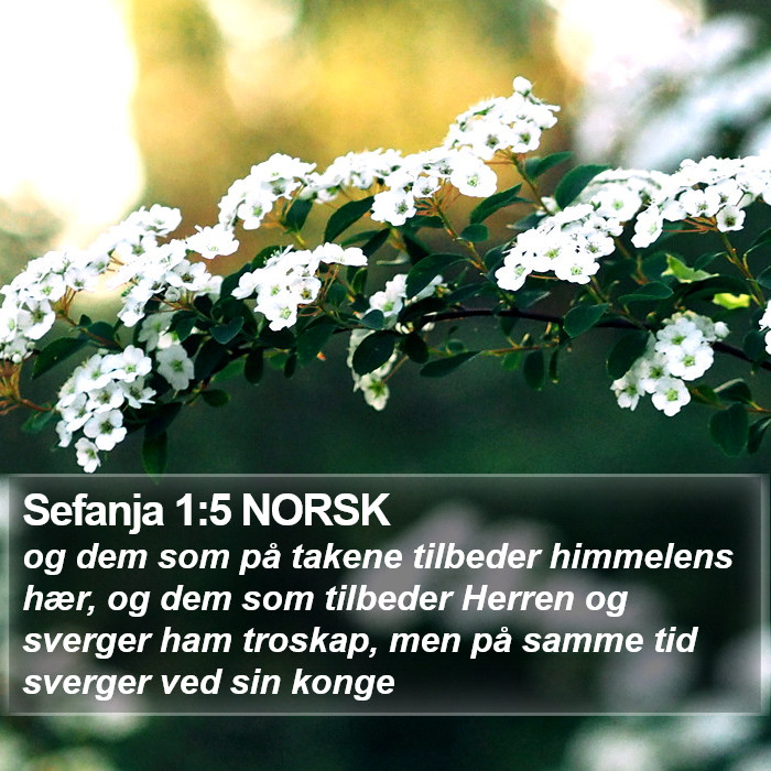 Sefanja 1:5 NORSK Bible Study