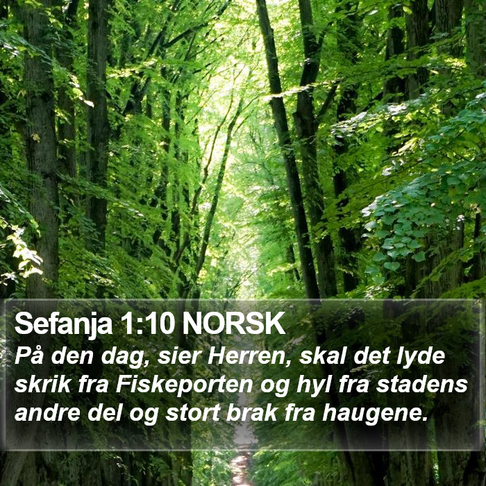 Sefanja 1:10 NORSK Bible Study