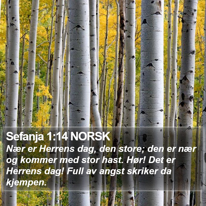 Sefanja 1:14 NORSK Bible Study