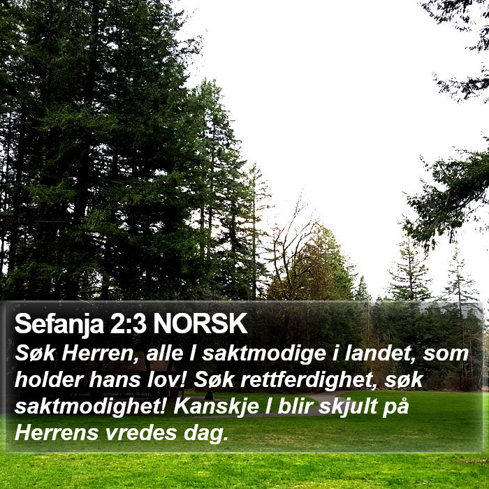 Sefanja 2:3 NORSK Bible Study