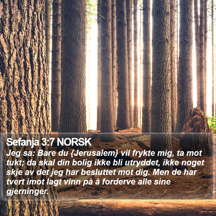 Sefanja 3:7 NORSK Bible Study